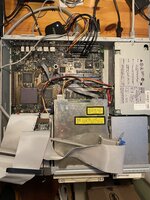 IMG_5252.jpeg