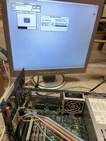 IMG_3262.jpeg