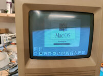 IMG20240817121812.jpg_compressed.JPEG