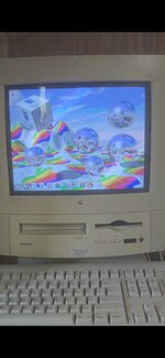 1000025336.jpg