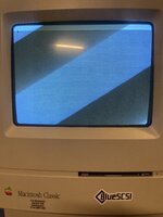 IMG_7152.jpeg