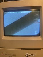 IMG_7154.jpeg