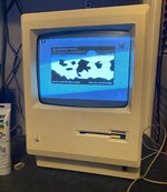 IMG_0891.jpeg