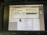 IMG_9791.jpeg