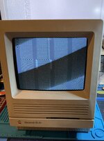 IMG_0493.jpeg IMG_0493.jpeg