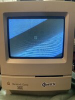IMG_7281.jpeg