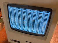 IMG_0027.jpg