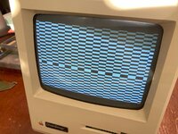 IMG_0029.jpg