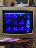 IMG_7331.jpeg IMG_7331.jpeg
