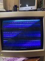 IMG_7332.jpeg