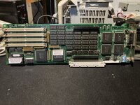 IMG_2758.jpeg