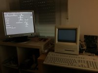 IMG_2573.JPG IMG_2573.JPG