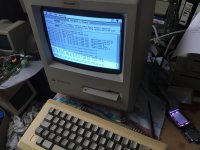 IMG_1194.JPG IMG_1194.JPG