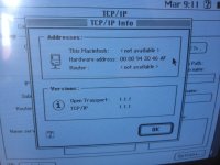 IMG_5663.JPG.jpeg IMG_5663.JPG.jpeg