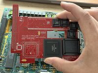 IMG_6719.jpeg