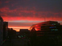 IMAGE01.jpg