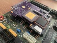 WhatsApp Image 2024-10-29 at 14.12.59.jpeg