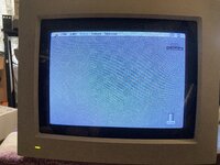 IMG_7376.jpeg