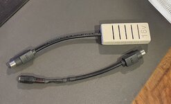 IMG_3005.jpeg