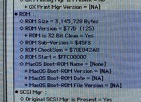 IMG_1477.jpeg