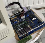 IMG_1487.jpeg