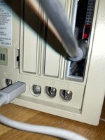 IMG_1299.jpeg