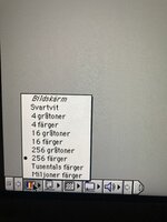 IMG_1391.jpeg IMG_1391.jpeg