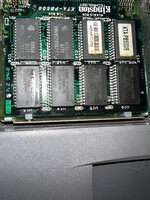 IMG_7599.jpeg