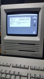 20241206_204419.jpg