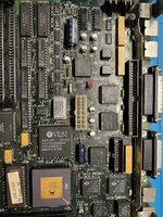 IMG_4835.jpeg