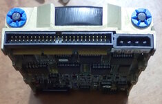 Standard-internal-SCSI-connector.jpg Standard-internal-SCSI-connector.jpg