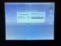 IMG_8147.jpeg