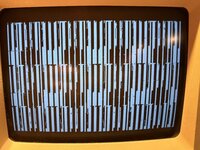 IMG_1010.jpeg