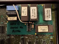 lisa10.jpg
