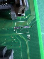 IMG_6783.jpeg