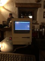 IMG_8793.jpeg IMG_8793.jpeg