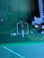 IMG_6943.jpeg