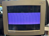 IMG_2331.jpeg