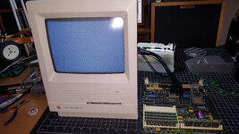 20250216_122626.jpg