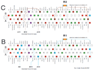 Screenshot 2025-02-28 at 17-19-21 Test_Cable_Patch-220-1.PDF.png