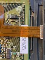 IMG_2953.jpeg