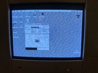 IMG_3538.jpeg