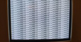 IMG_3545.jpeg