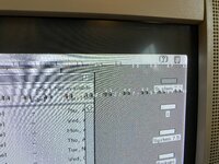 IMG_3173.jpeg