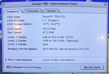 IMG_3584.jpeg
