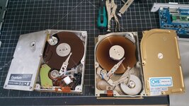 20250411_124635.jpg