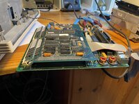 IMG_5468.jpeg