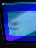 WhatsApp Image 2025-04-13 à 20.39.47_b00a89ac.jpg