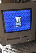 IMG_7273.jpeg