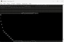 Garbled text received.jpg